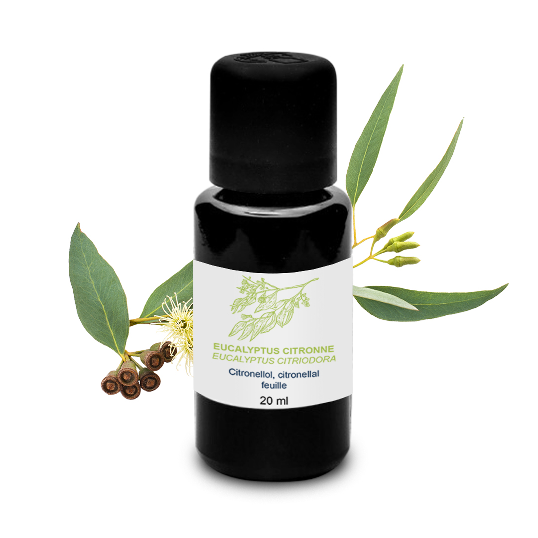 Essential Oil Lemon eucalyptus