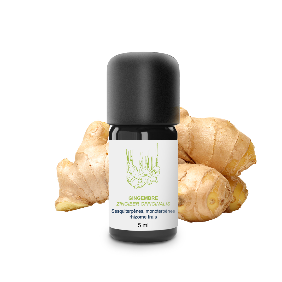 Essential Oil Fresh ginger