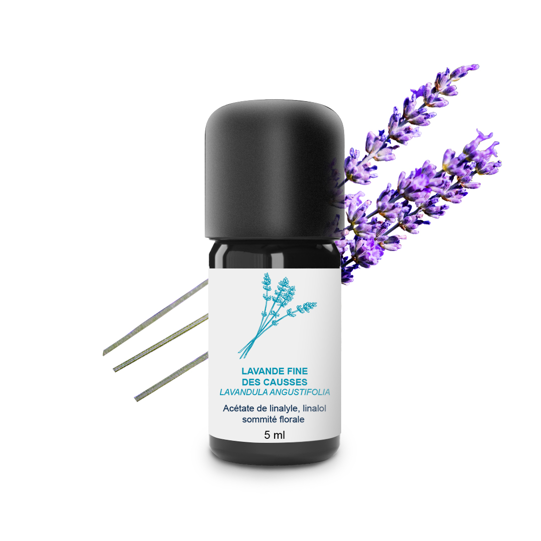 Essential Oil Fine lavender of Causses