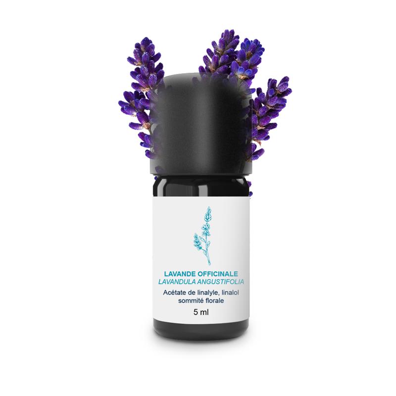 Essential Oil Angustifolia pharmacy lavender from Tarn