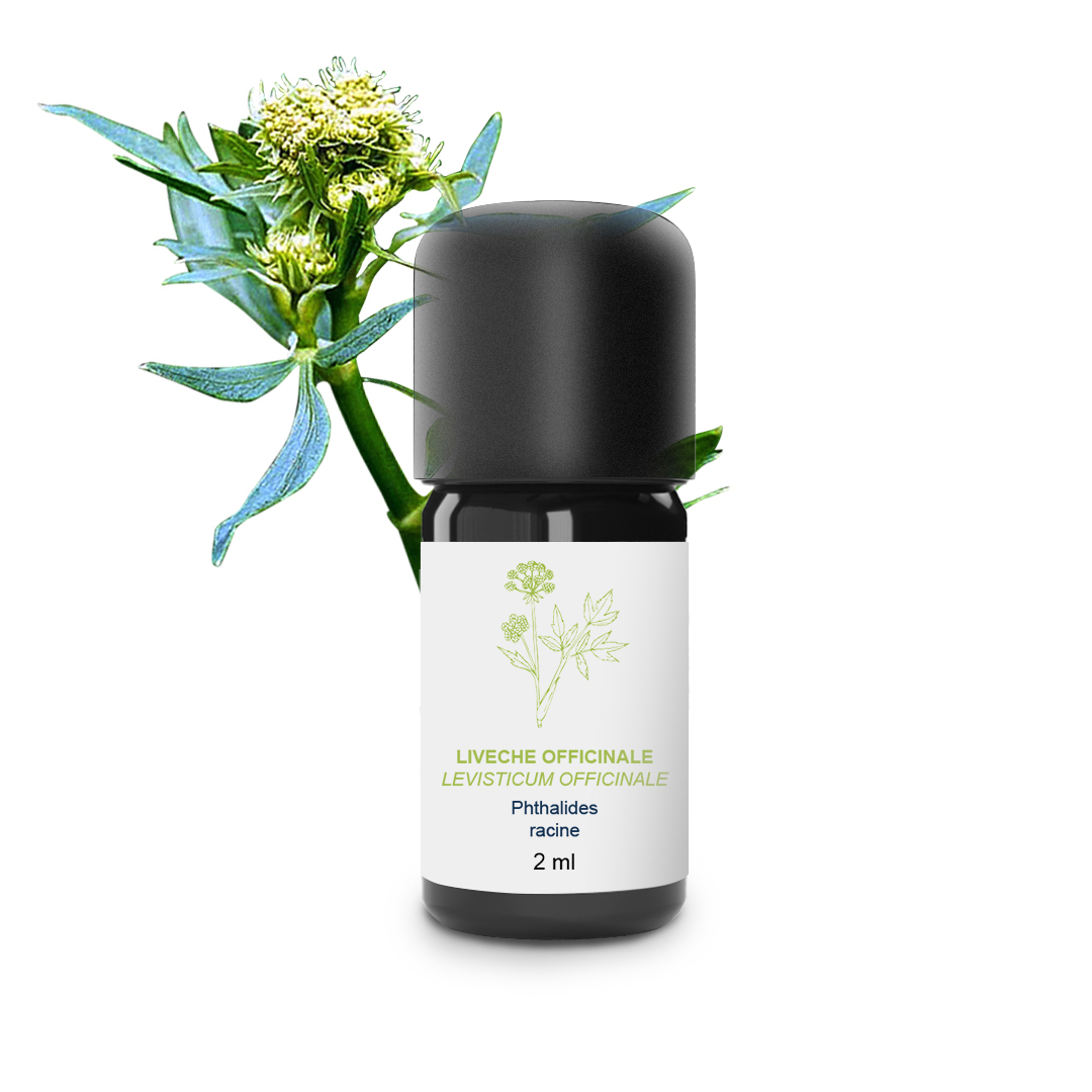 Essential Oil Livage (Root)