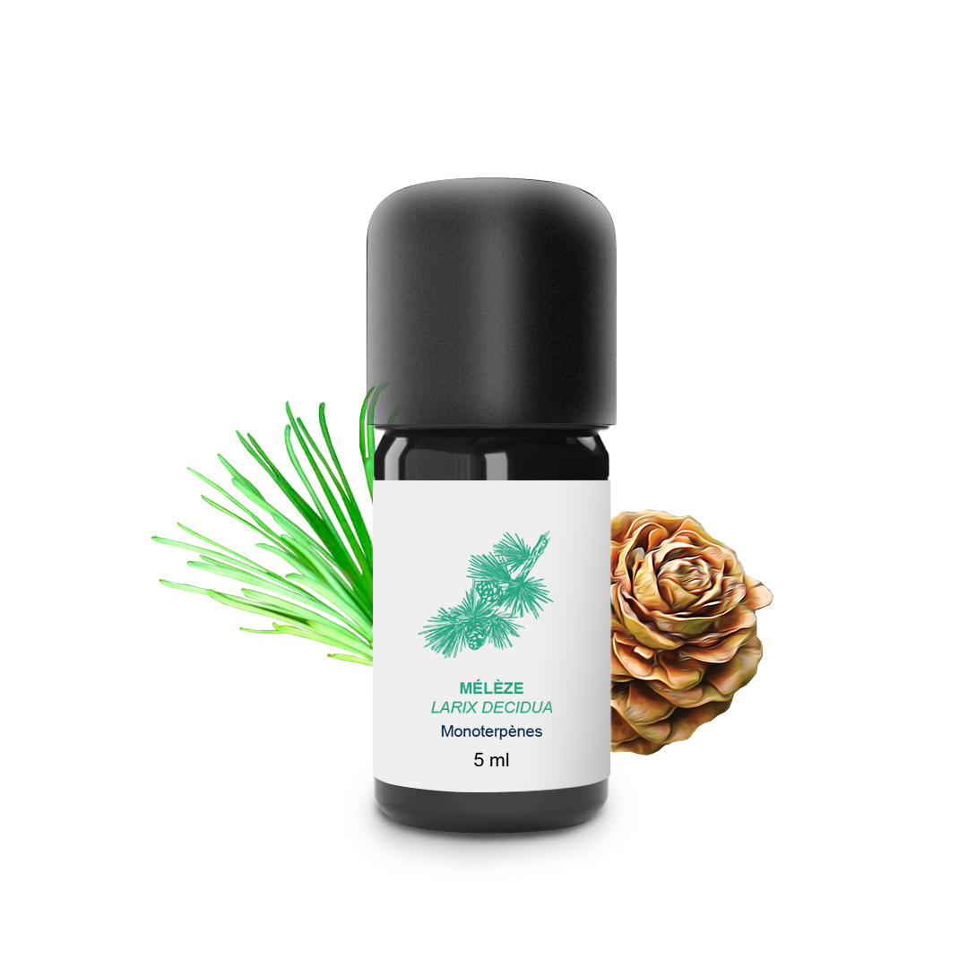 Essential Oil Larch