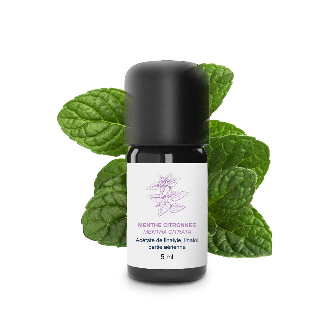 Essential Oil Lemon mint