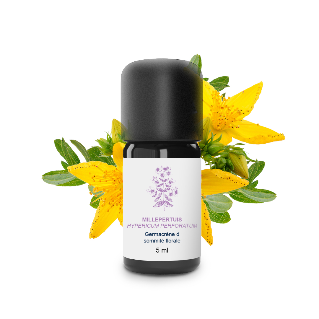 Essential Oil Thousandpertuis