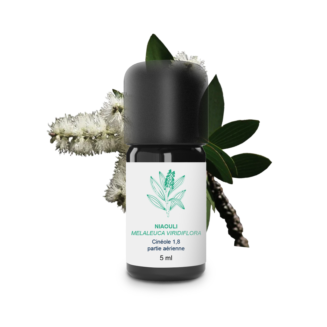 Essential Oil Niaouli