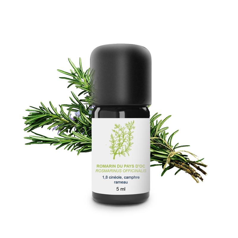 Essential Oil Officinal Rosemary