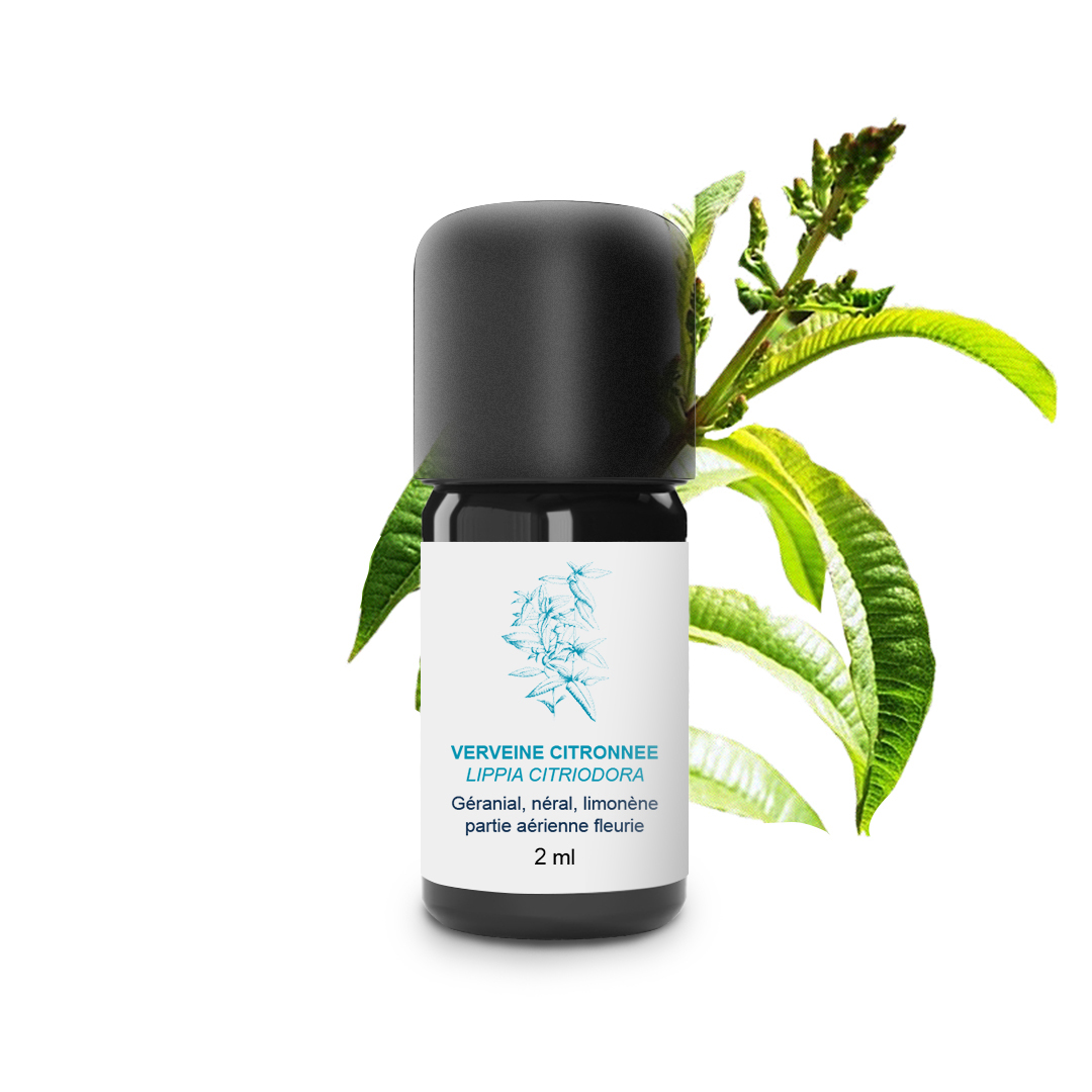 Huile Essentielle Verveine citronnée