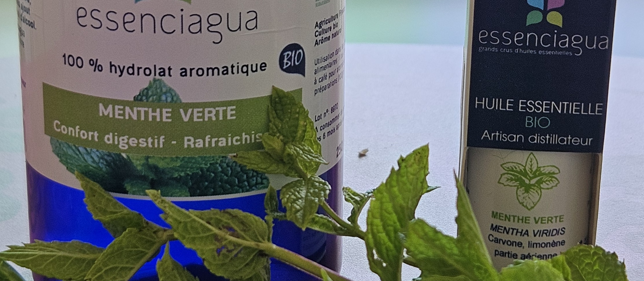 Peppermint essential oil vs spearmint: Scientific comparative analysis