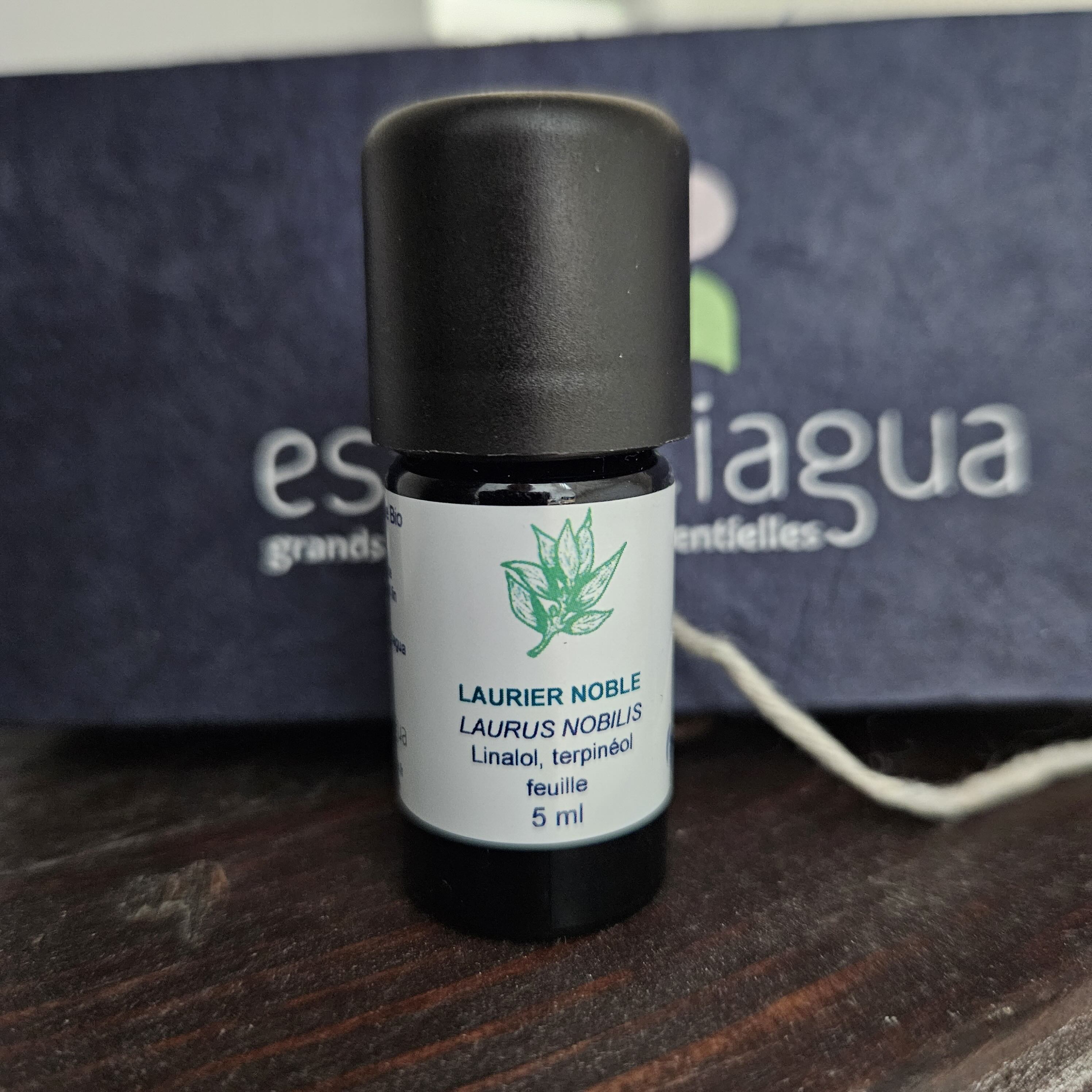 Monographie du Laurier Noble