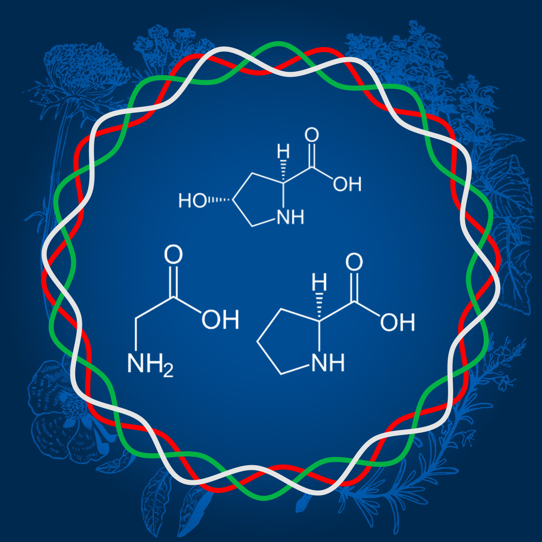 Stimuler la production de collagène par les huiles essentielles
