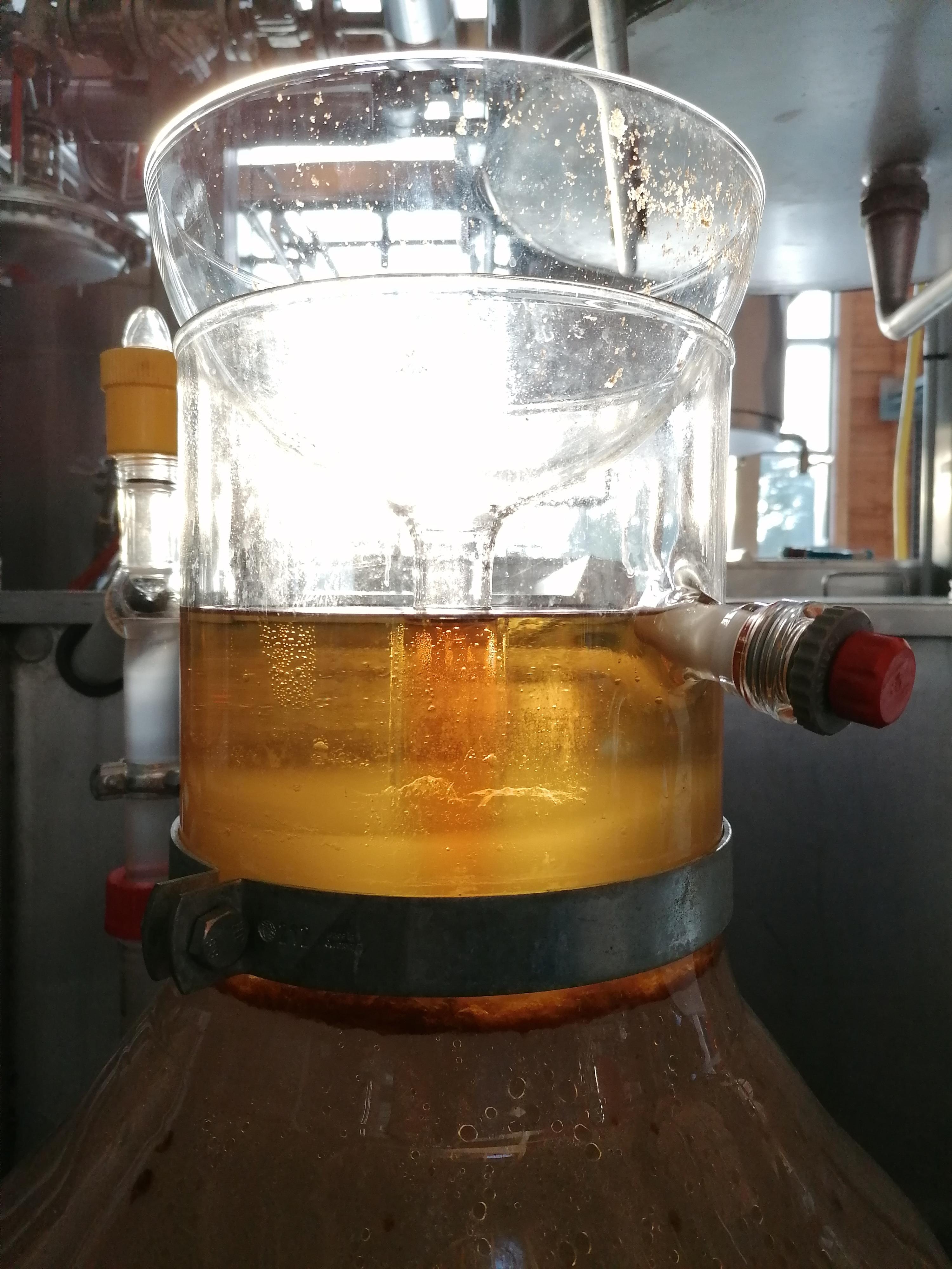 Decouvrez la distillation 100% Organic and Handmade Oregano Essential Oil