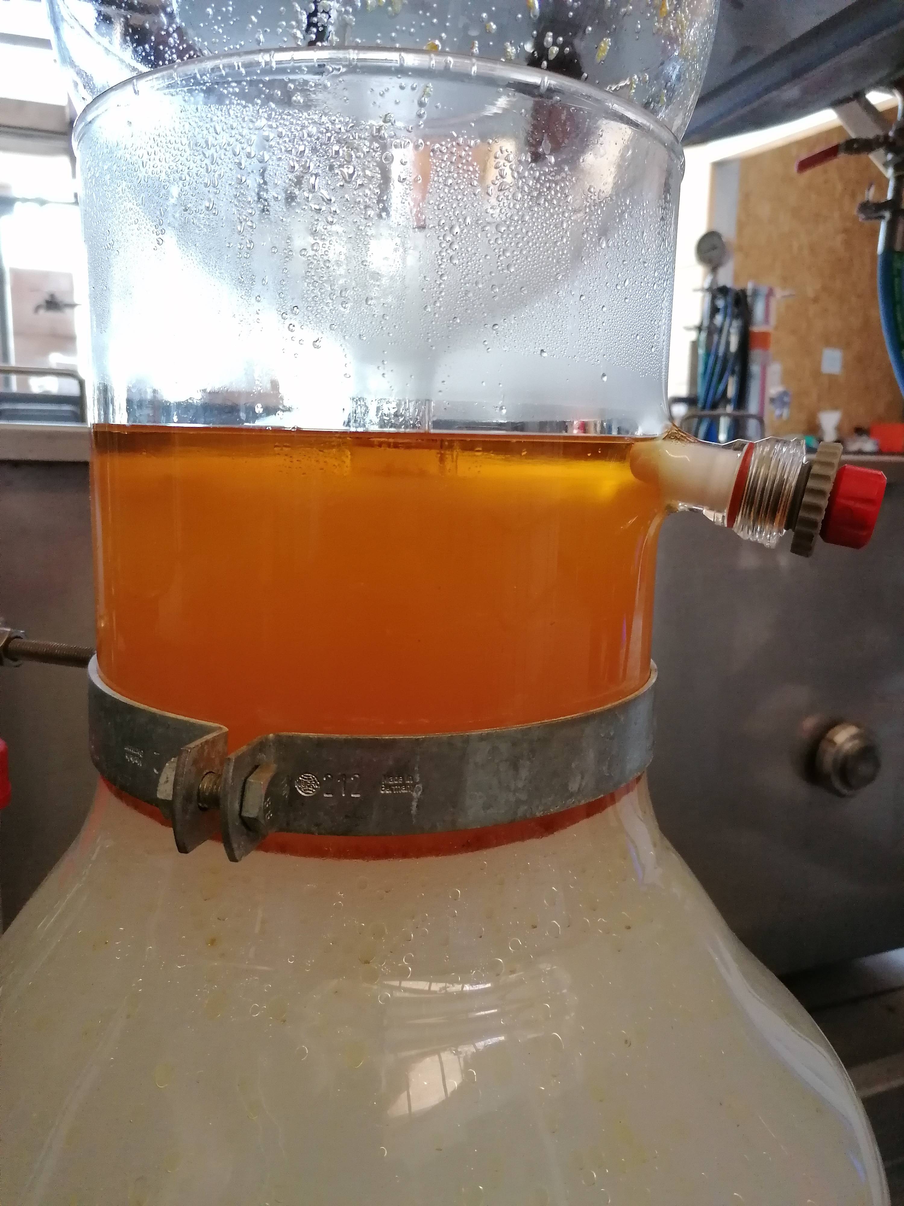 Decouvrez la distillation 100% Organic and Handmade Oregano Essential Oil