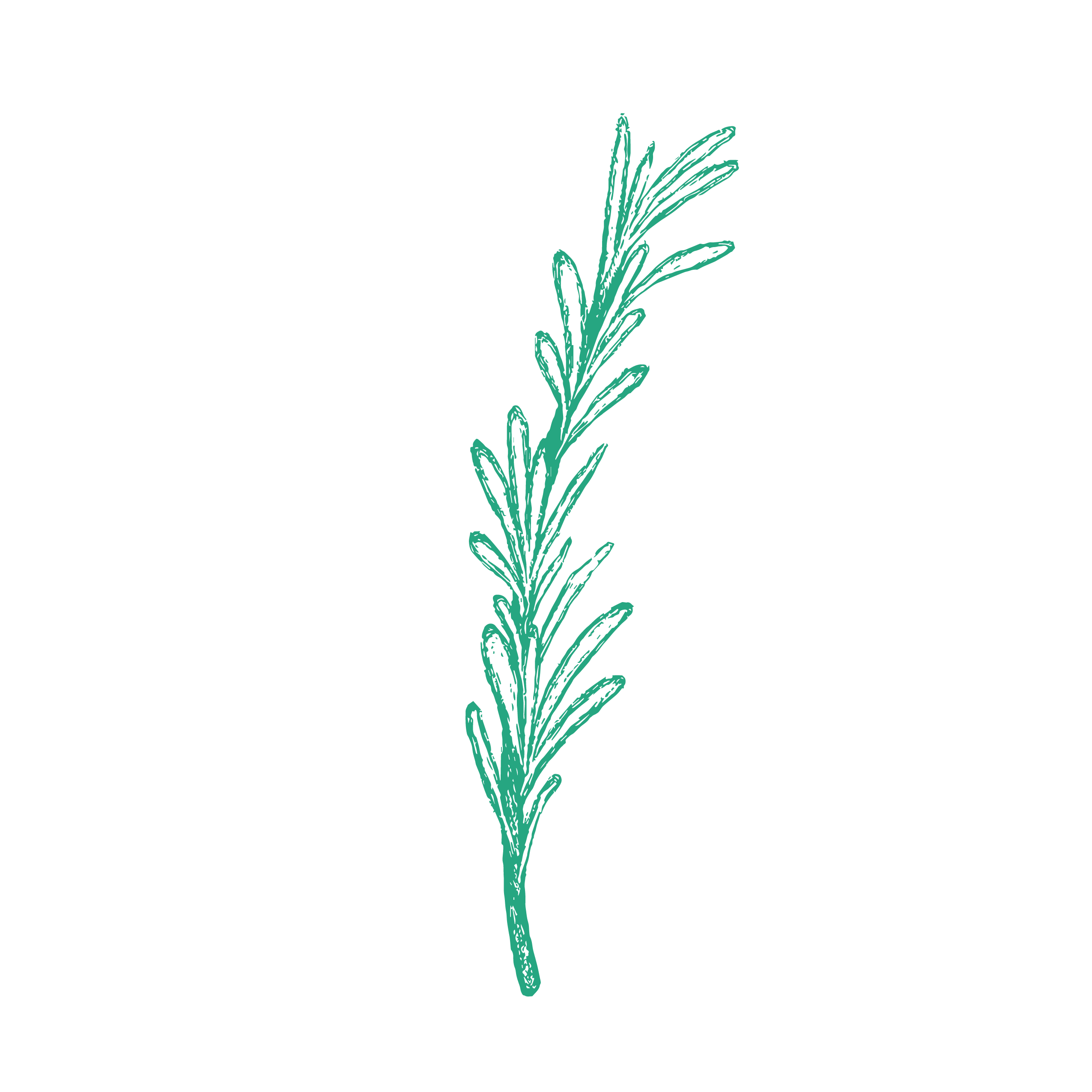 Decouvrez la distillation Quand je perds des cheveux