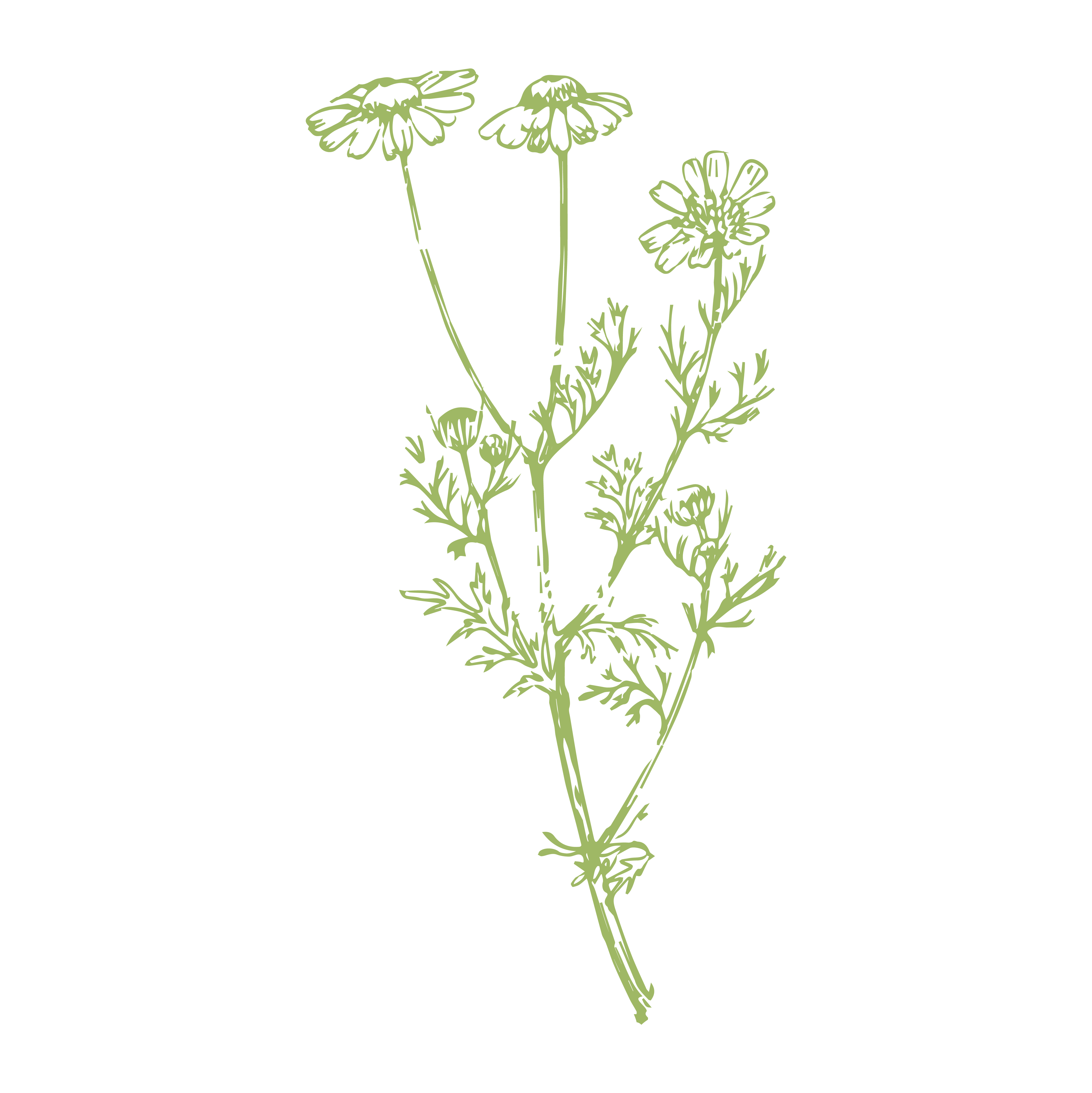 Decouvrez la distillation Quando voglio trattare l'eczema