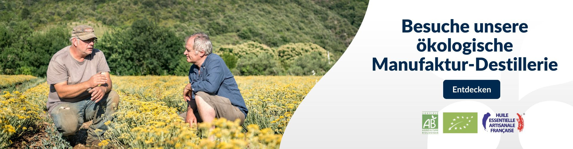 Découvrez notre  distillerie
