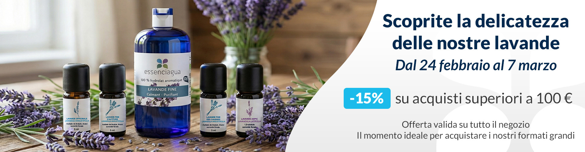 Lavande Fine des Causses